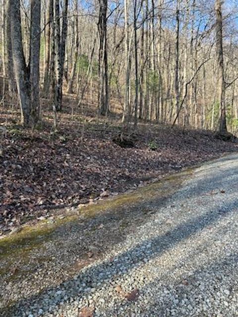 26 Soapstone Creek Circle Hiawassee GA 30546