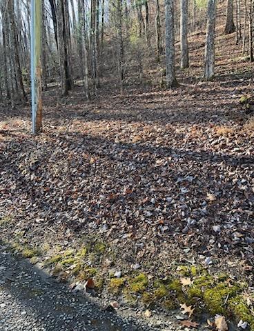 26 Soapstone Creek Circle