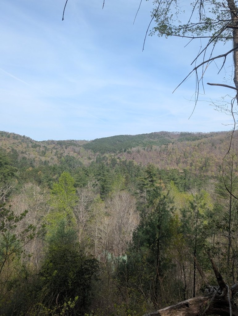 Lt 7A Lake Appalachia Ac Drive