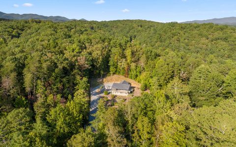 A home in Ellijay