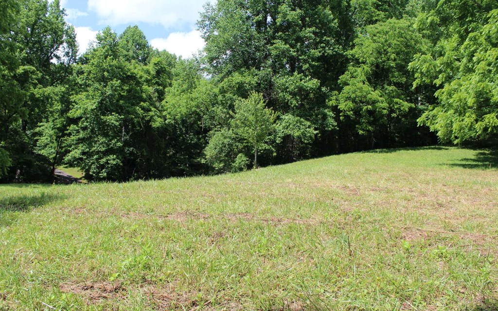 lot 8 High Meadows