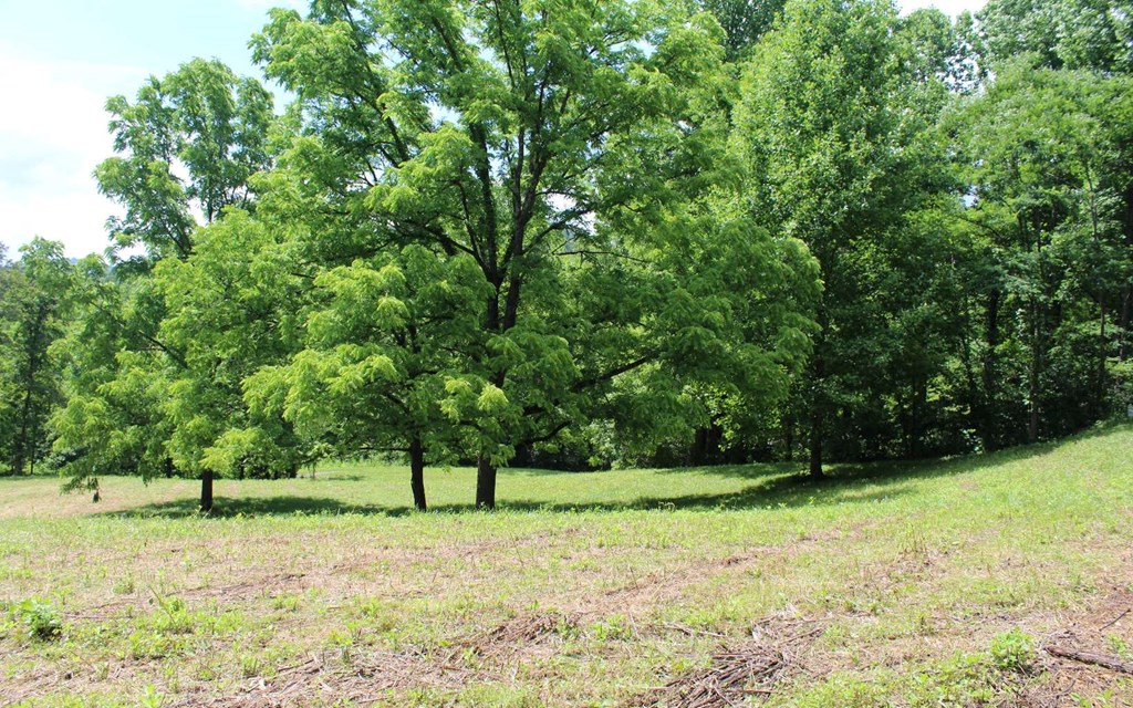 lot 8 High Meadows