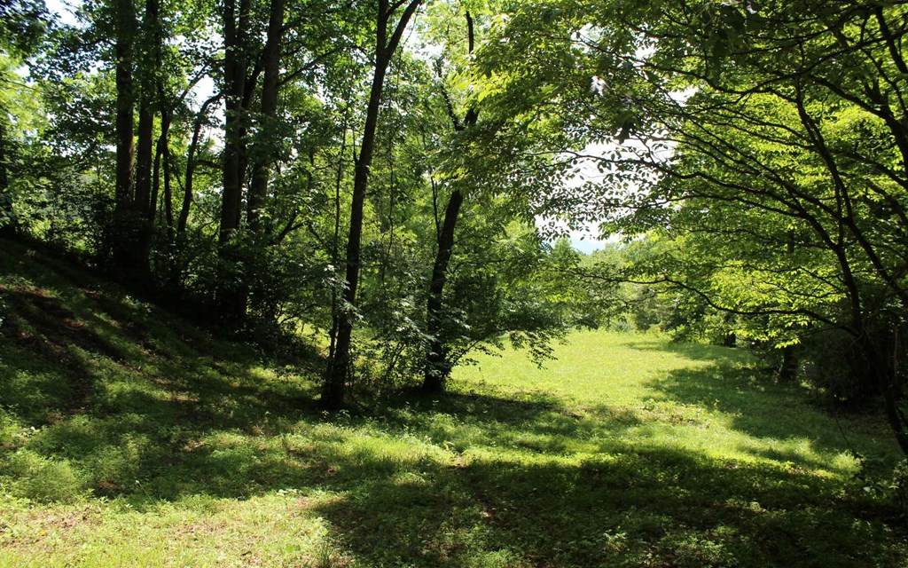 lot 8 High Meadows