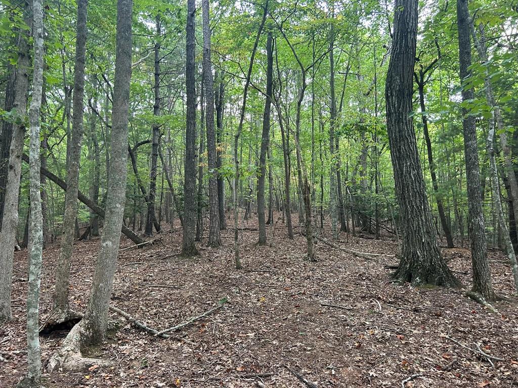 17 ac Hideaway Hills