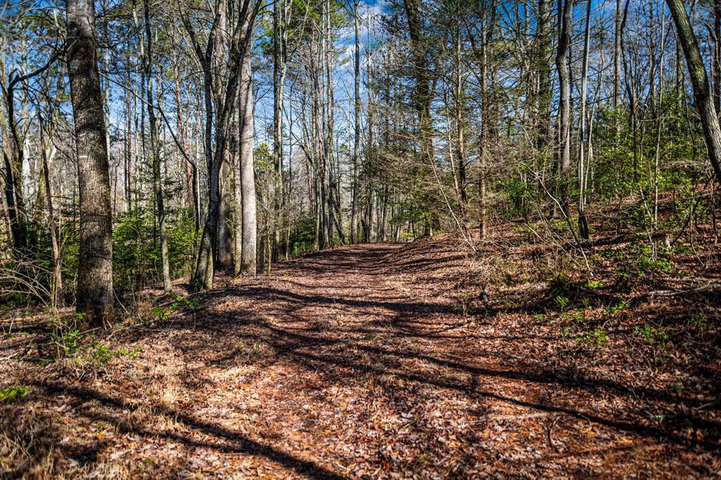 Tract B Captains Cove