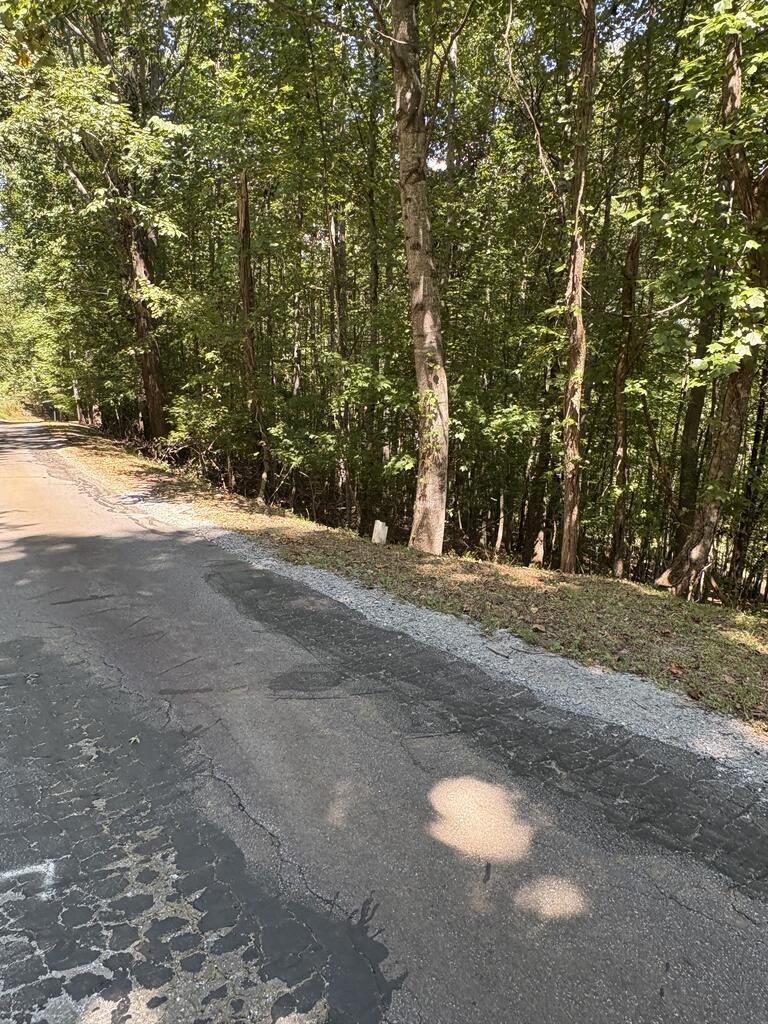 Lot 14 White Oak Drive