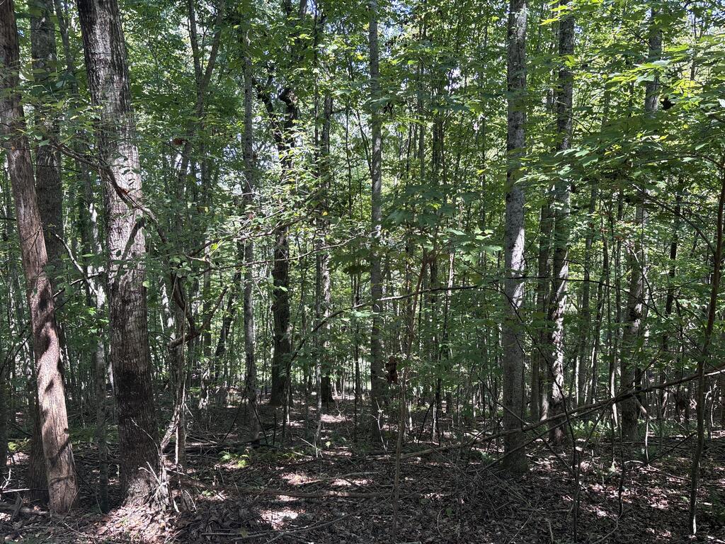 Lot 14 White Oak Drive