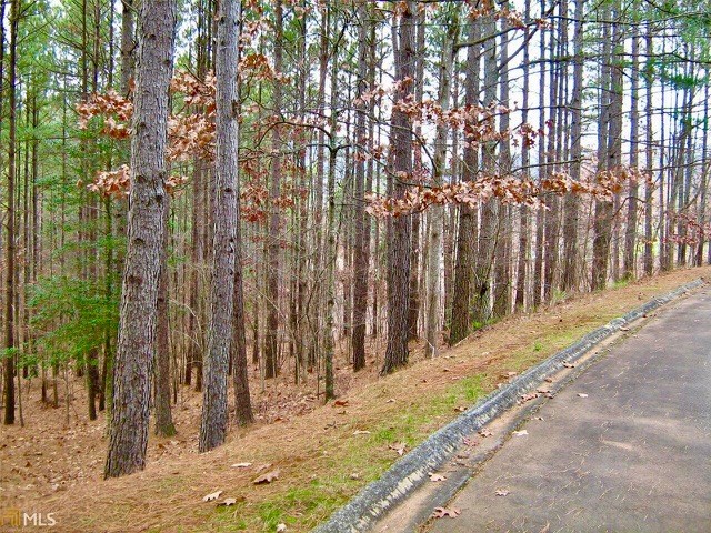 41 Golden Delicious Road