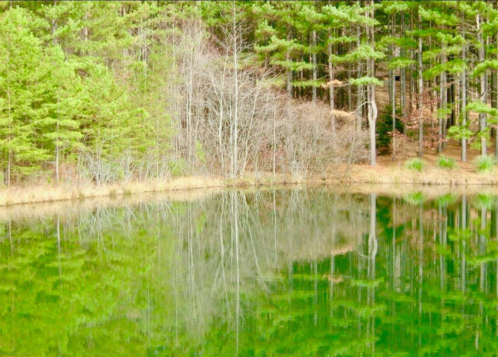 41 Golden Delicious Road