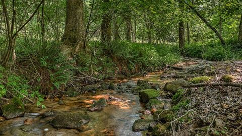 A home in Blairsville