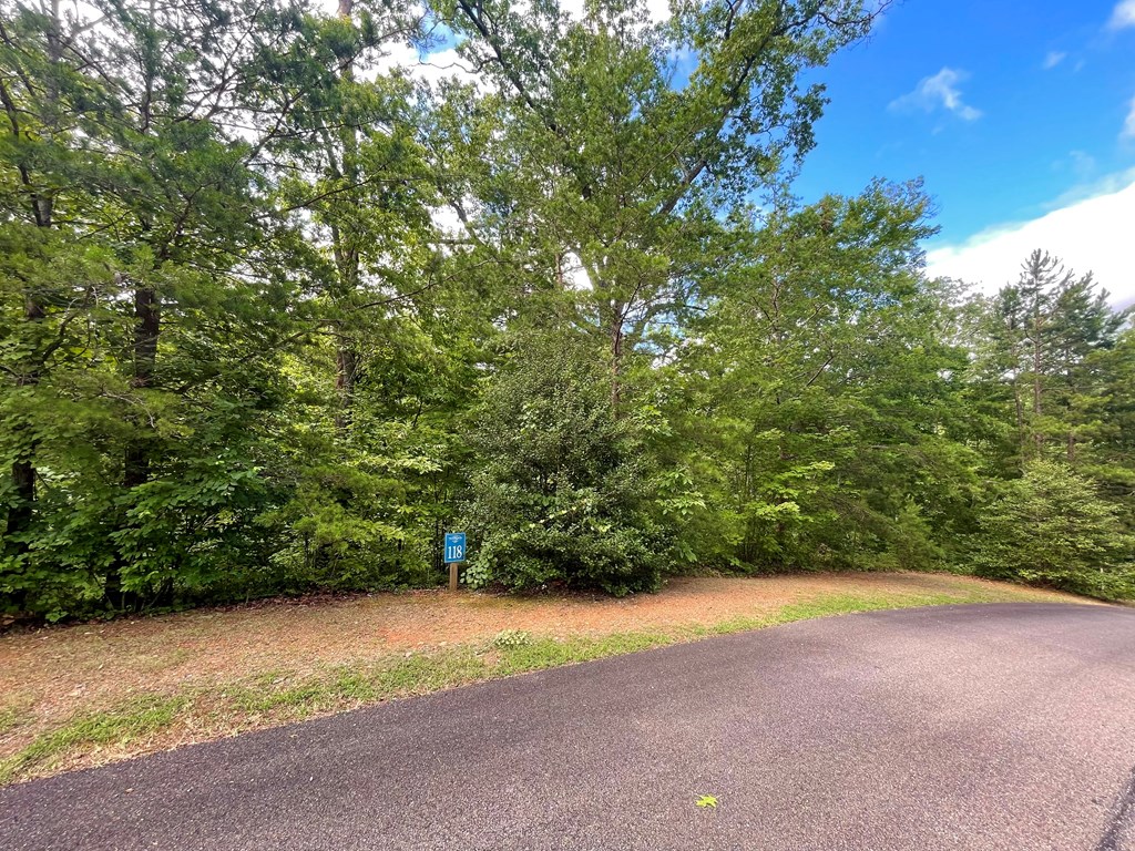 Lot 118 Beech Tree Drive