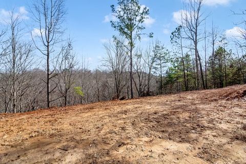 30 William Way Ellijay GA 30540