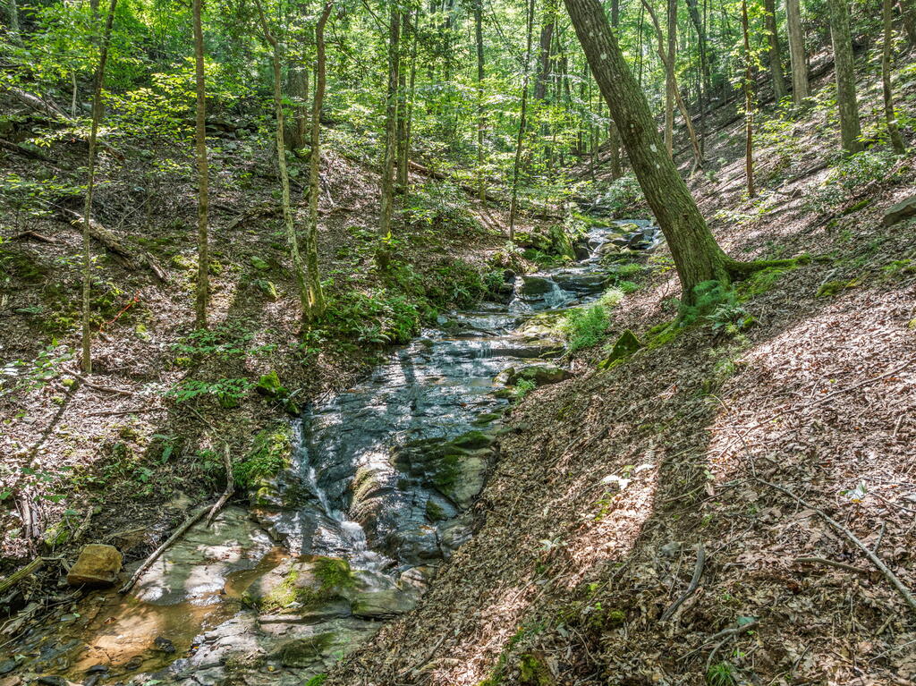 166 Walnut Mountain Court