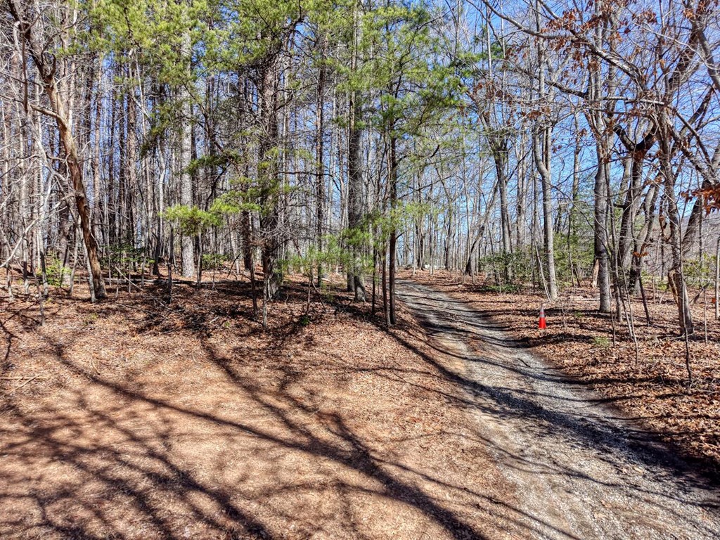 3.07 Acr Sunset Drive