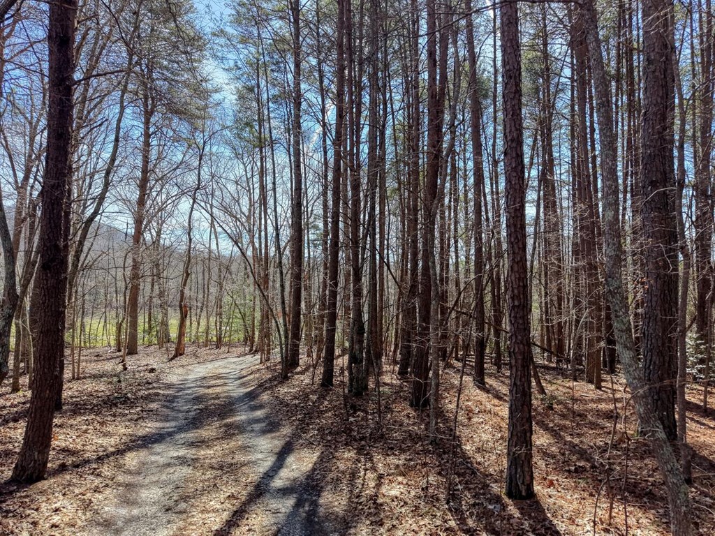 3.07 Acr Sunset Drive