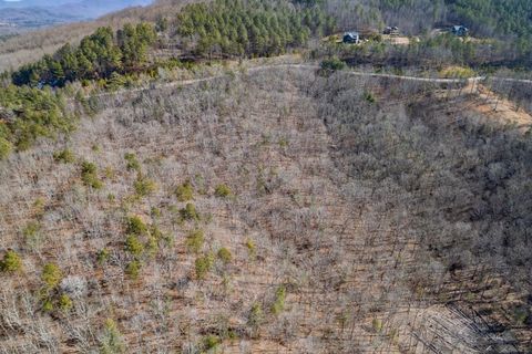 Lot 370 Thirteen Hundred Blairsville GA 30512