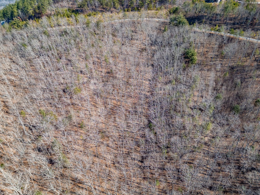 Lot 370 Thirteen Hundred