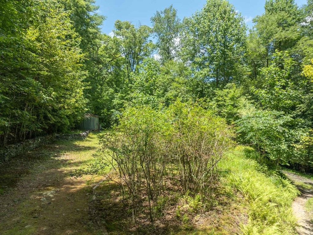 195 Angel Creek Hollow