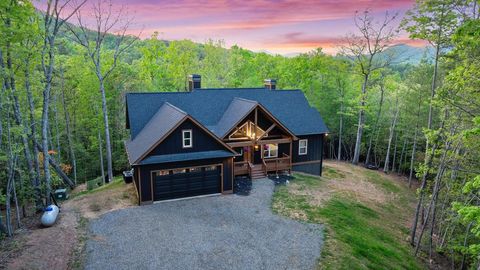 595 Arp Road Mineral Bluff GA 30559