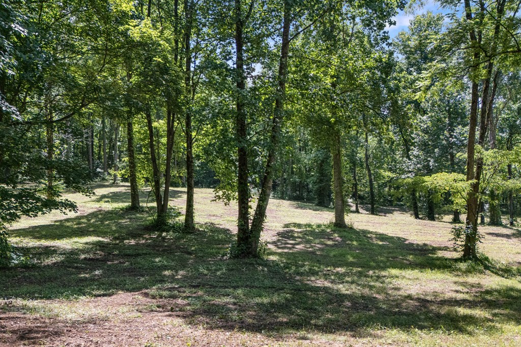 1 Lories Mountain Drive