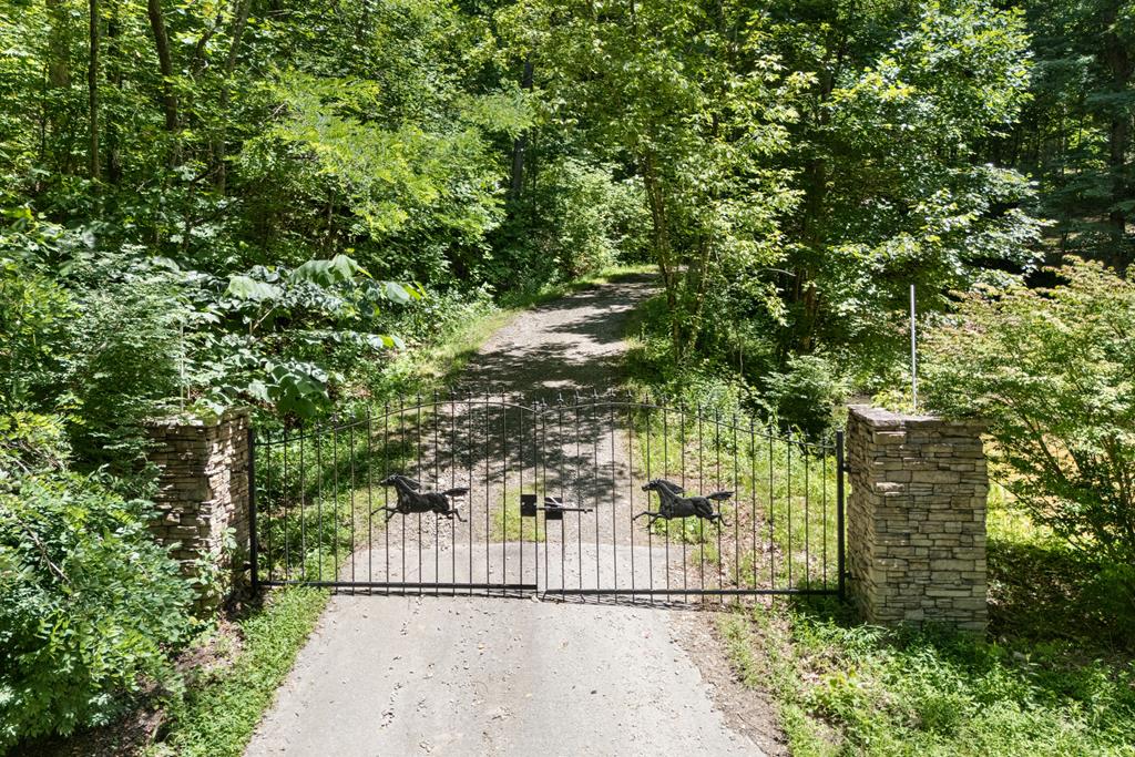 1 Lories Mountain Drive