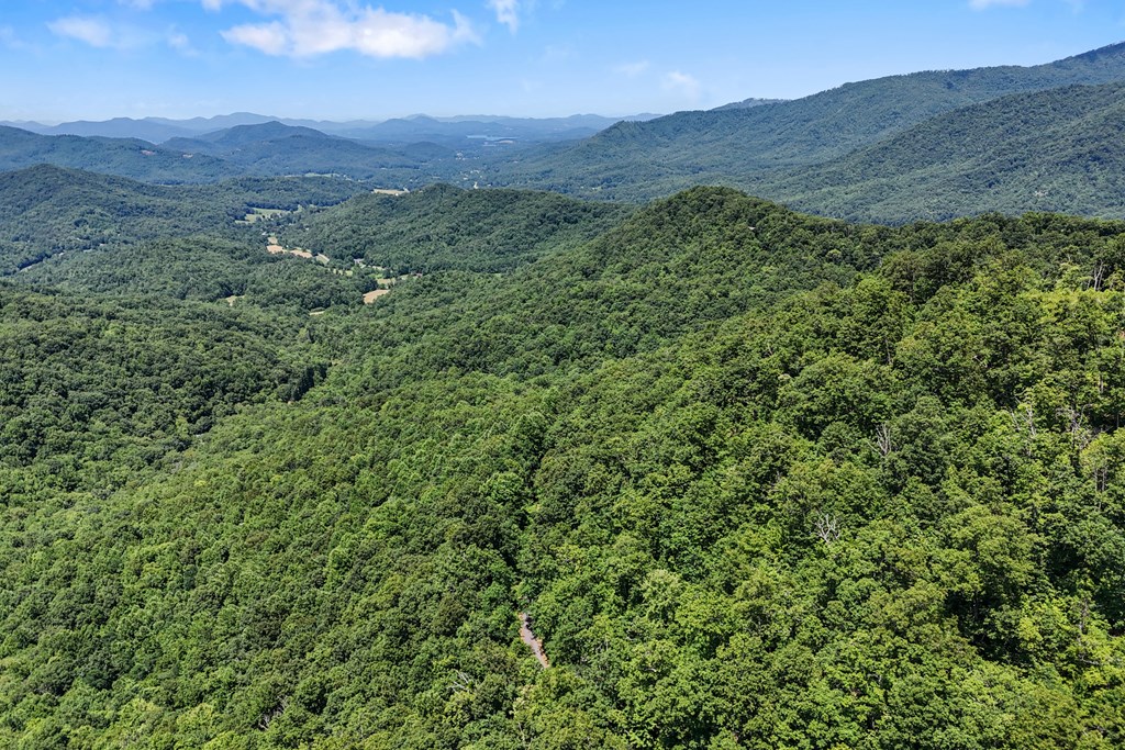 1 Lories Mountain Drive