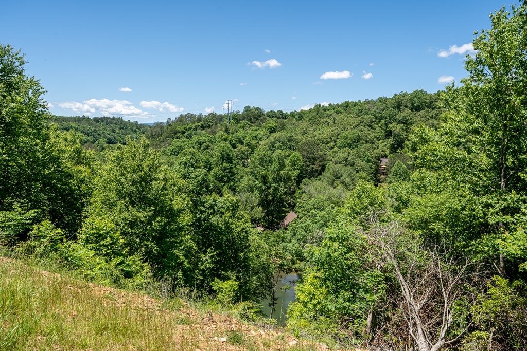 87 Riverview Circle