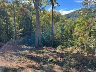 Lot 74 Mine Cart Trail