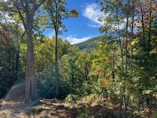 Lot 74 Mine Cart Trail
