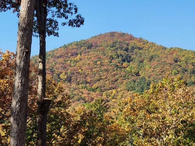 Lot 74 Mine Cart Trail