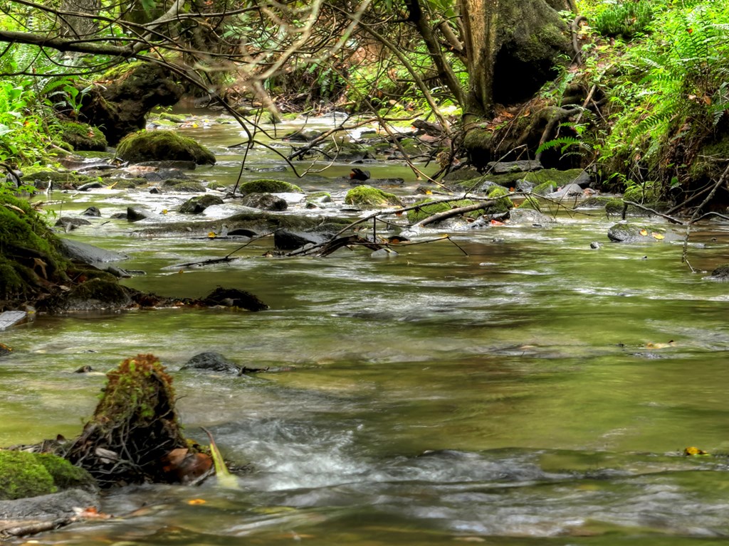 Lot 44 Synacia Drive