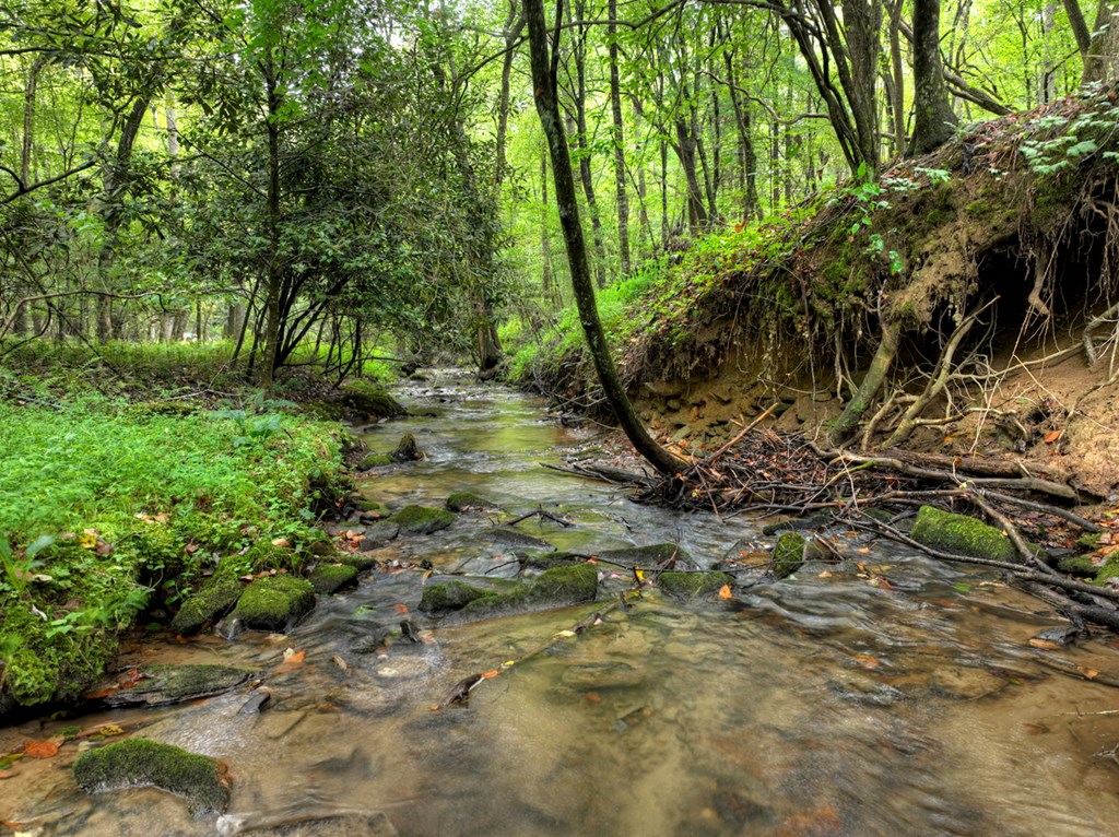 Lot 44 Synacia Drive