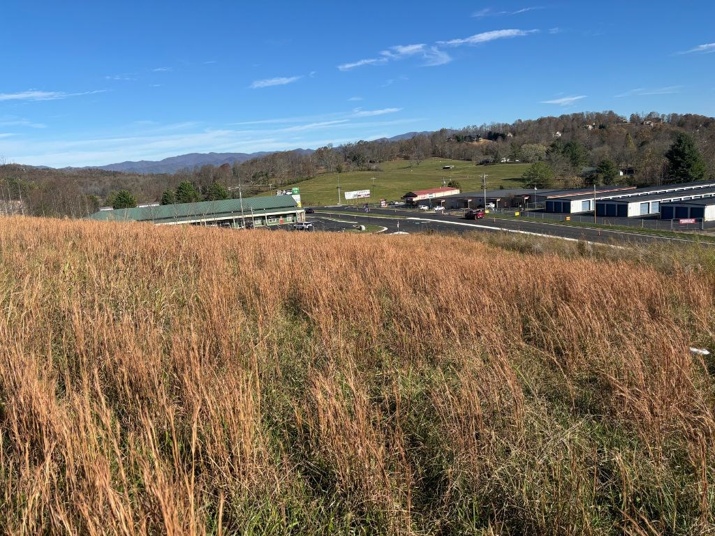 Lots 1-4 Windy Ridge & Hwy 69