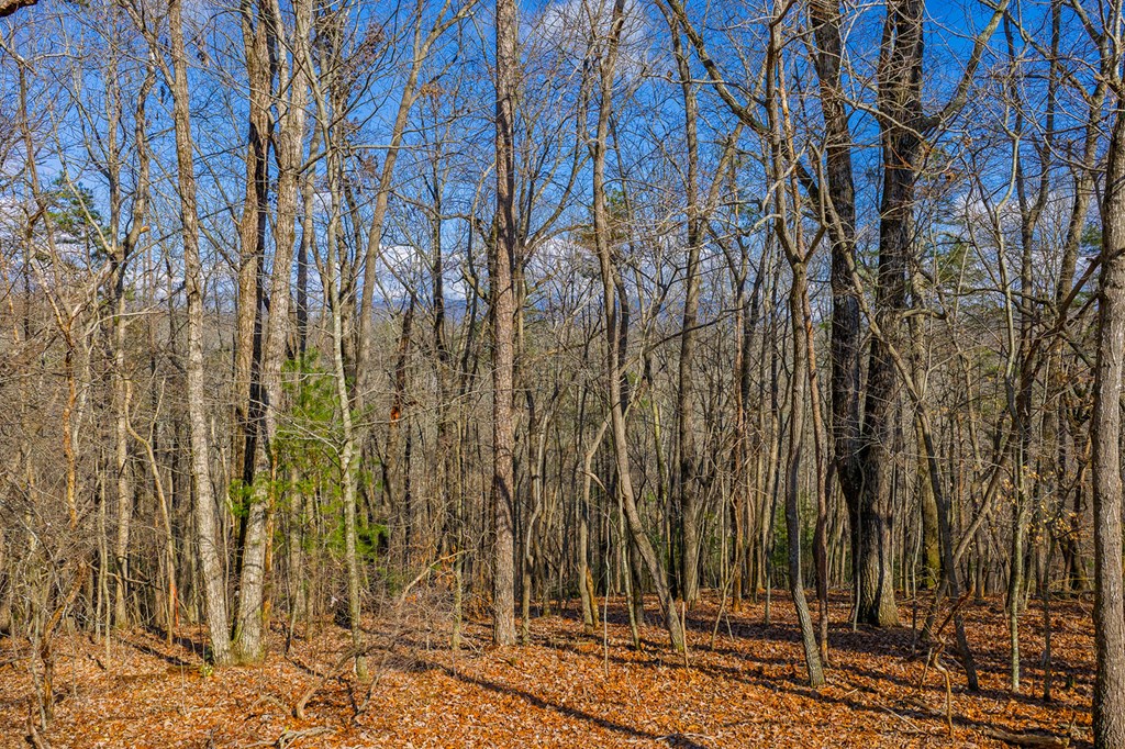 Lot 55 Timberwalk Drive