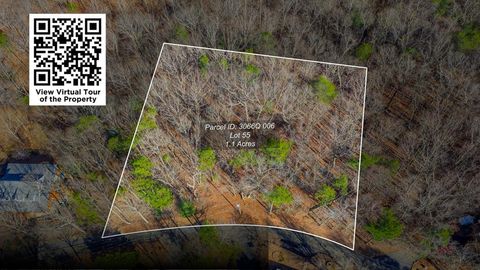 55 Spruce Drive Ellijay GA 30540