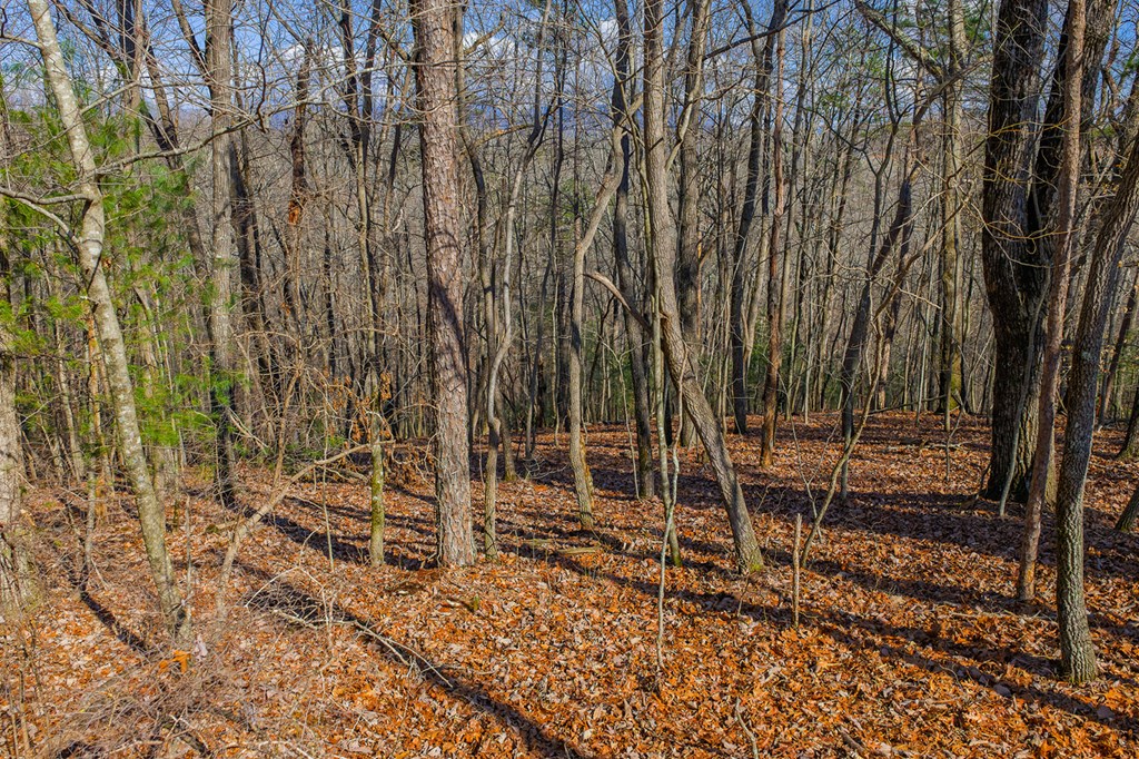 Lot 55 Timberwalk Drive