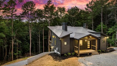 A home in Mineral Bluff