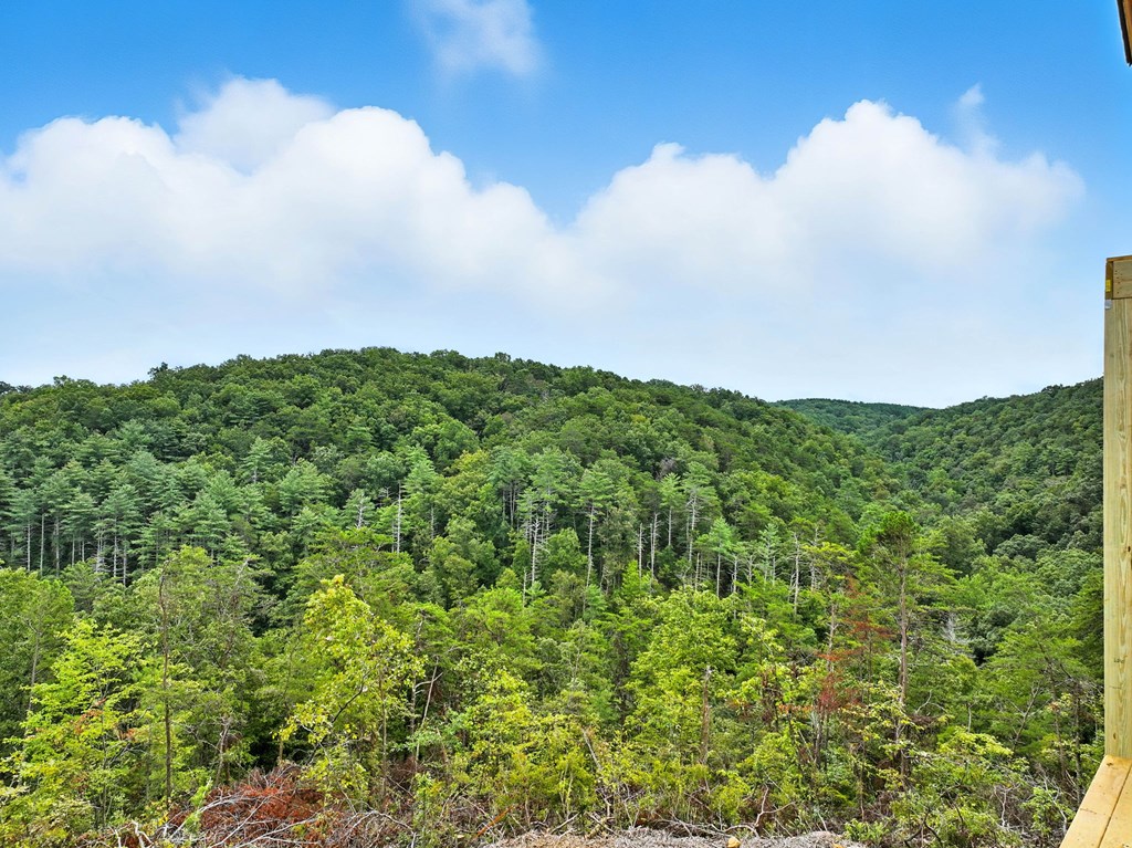 1373 Foxhound Trail Ne