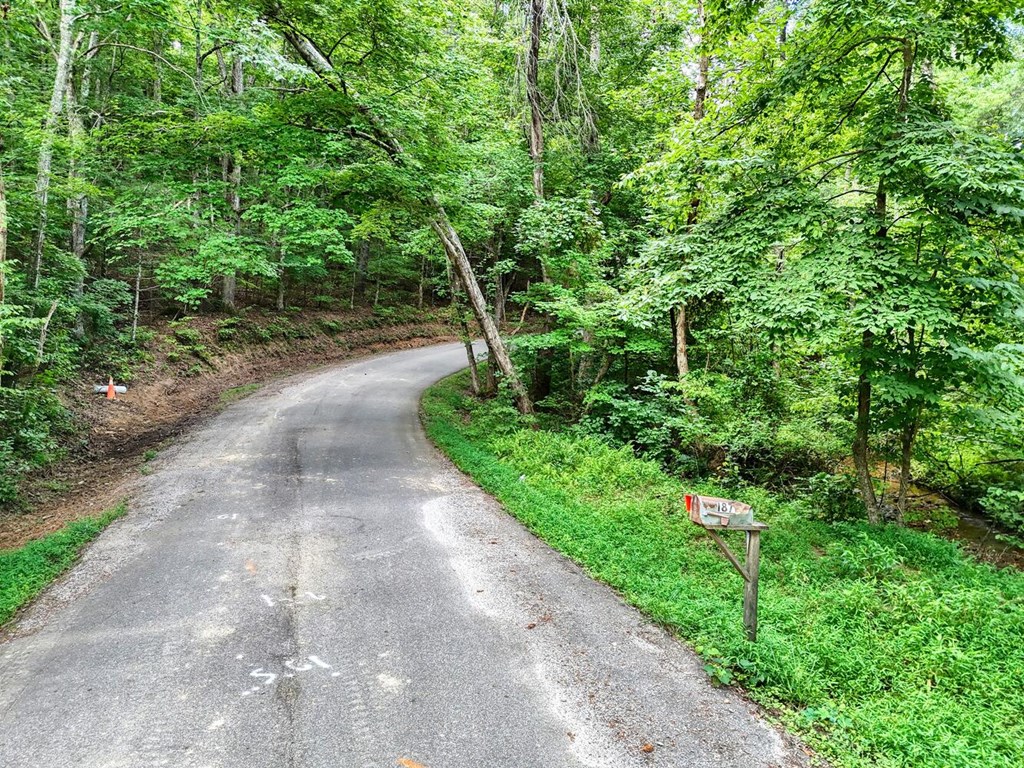 17 Acres Mulky Branch Lane
