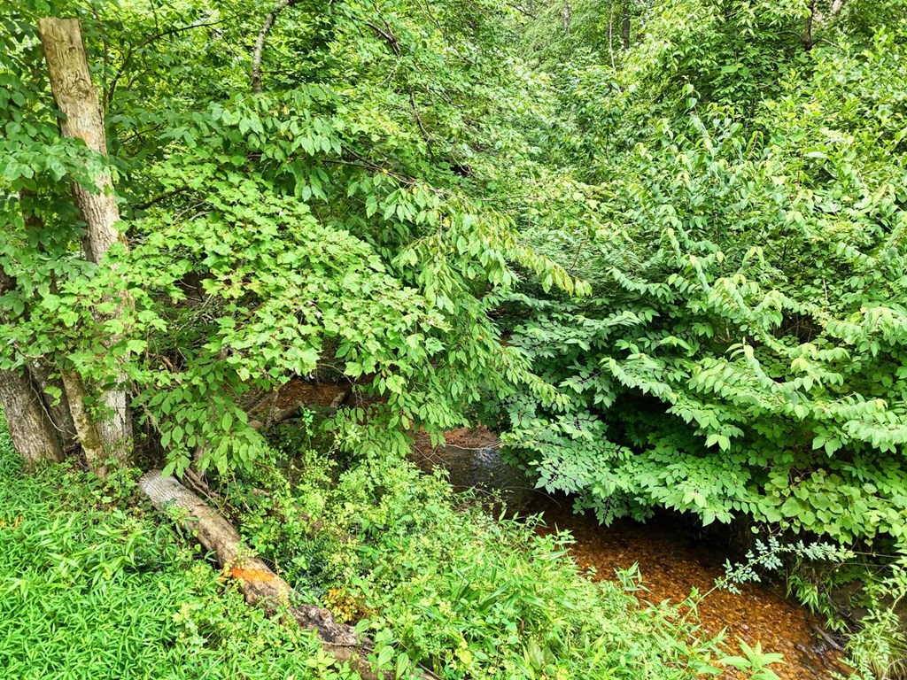 17 Acres Mulky Branch Lane
