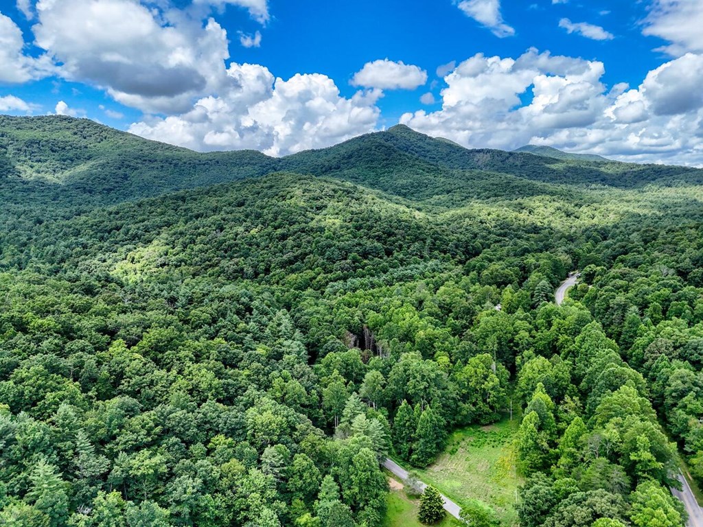 17 Acres Mulky Branch Lane