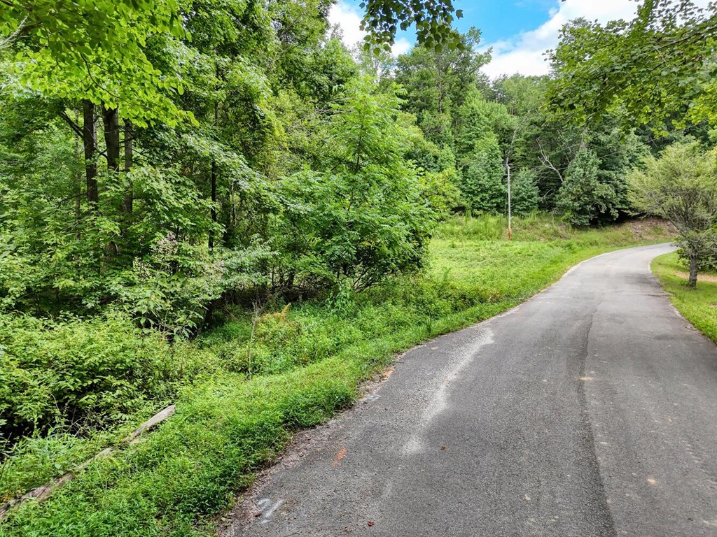 17 Acres Mulky Branch Lane