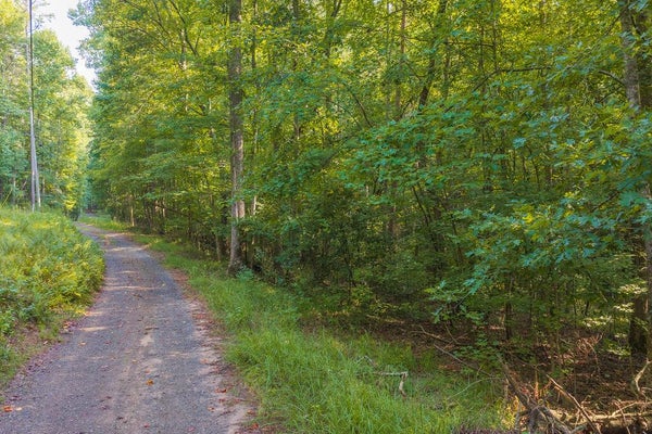 WILDWOOD LN, TALKING ROCK, GA 30175 - Image 75bcdfe0fa7990e23ecb1243d804ba6d/4064936717