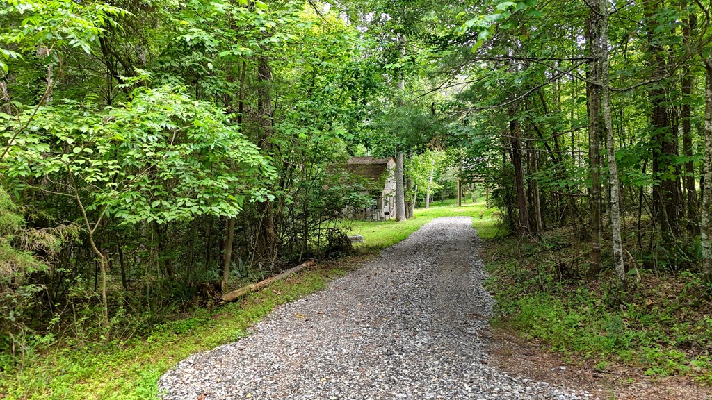 62 Smokey Creek Cove