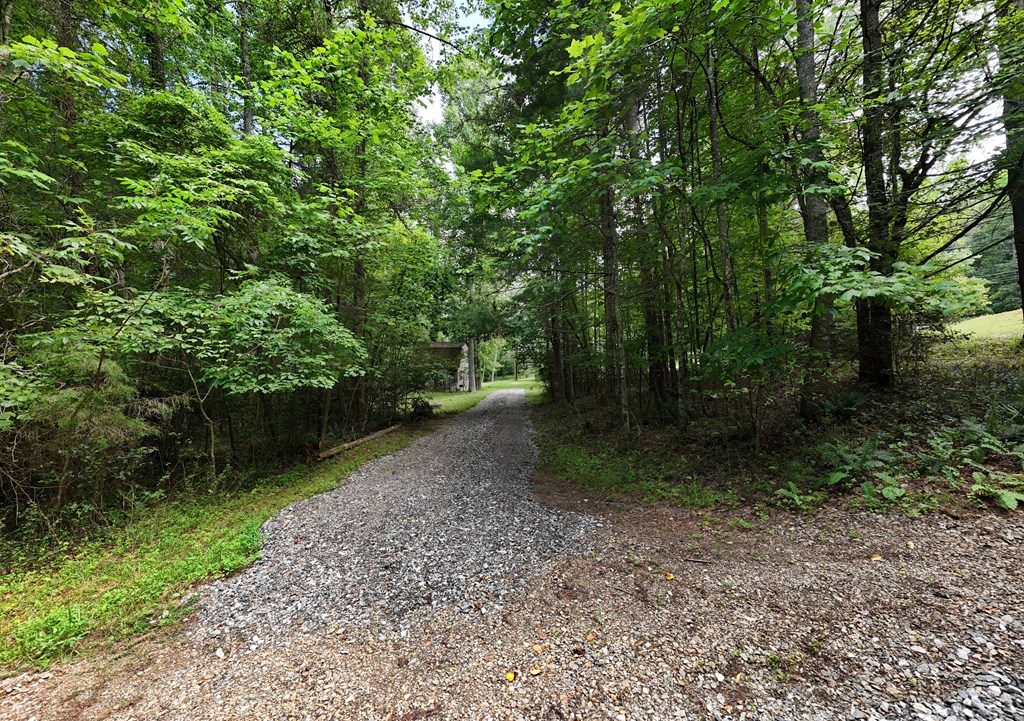 62 Smokey Creek Cove