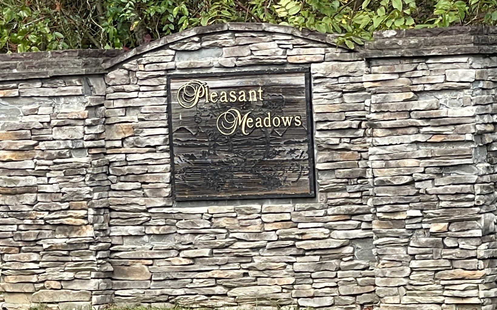 Lot 16 Pleasant Meadows