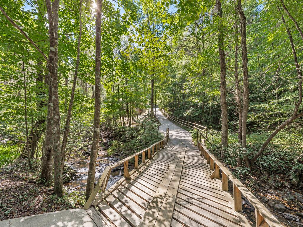 10323 Old Ccc Camp Road