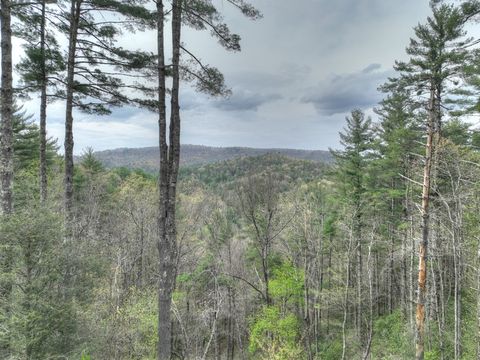 A home in Blue Ridge