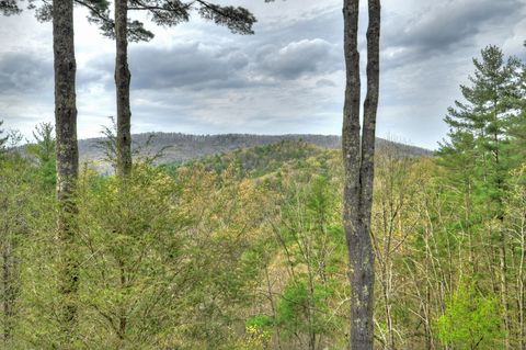 A home in Blue Ridge