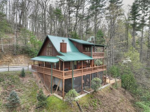 A home in Blue Ridge